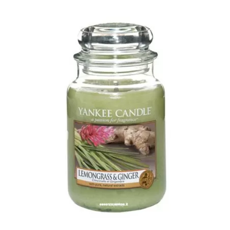 Lemongrass & Ginger Giara Grande - Yankee Candle
