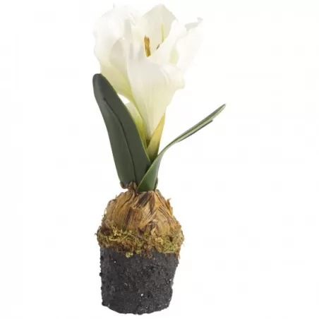 Winter Bakery Bulbi amaryllis bianco - Villeroy & Boch