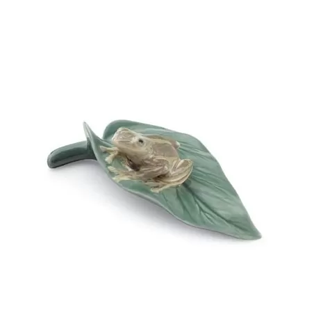 Rana coqui - Lladrò