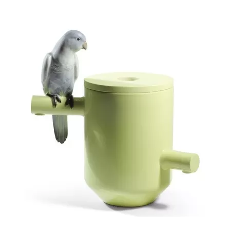 Parrot treasure - Lladrò