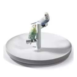 Parrot romance - Lladrò