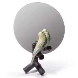 Parrot vanity - Lladrò