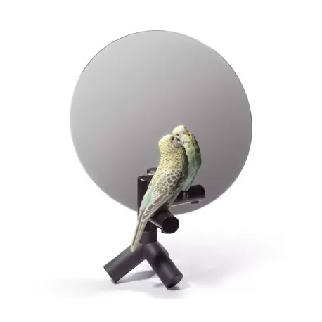 Parrot vanity - Lladrò