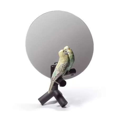 Parrot vanity - Lladrò