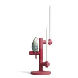 Parrot star - Lladrò