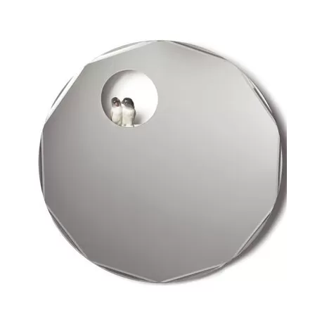 Parrot shine i - Lladrò