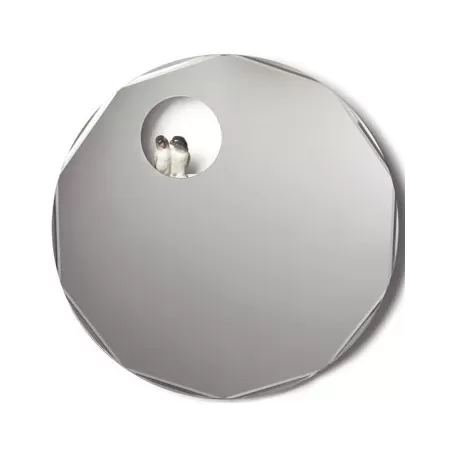 Parrot shine i - Lladrò