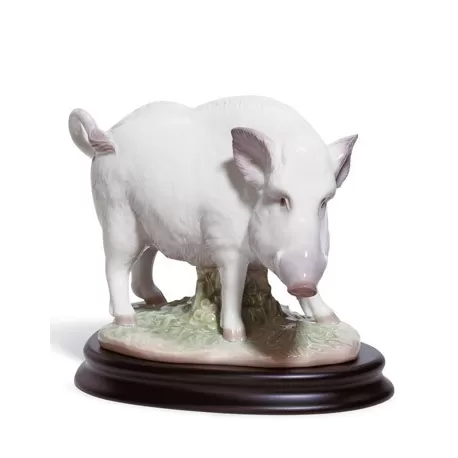 Il cinghiale - Lladrò