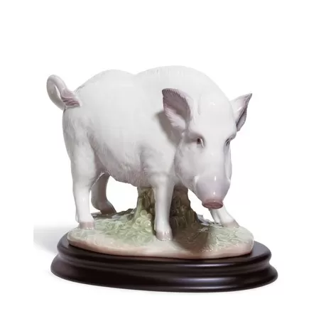 Il cinghiale - Lladrò