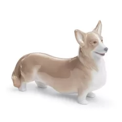 Welsh corgi pembroke - Lladrò