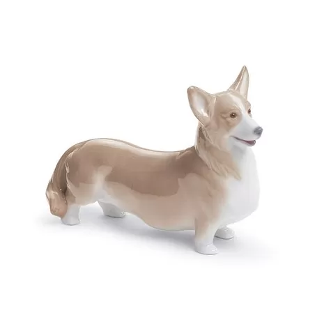 Welsh corgi pembroke - Lladrò