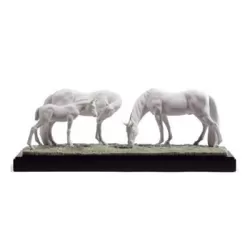 Cavalli nel prato - Lladrò