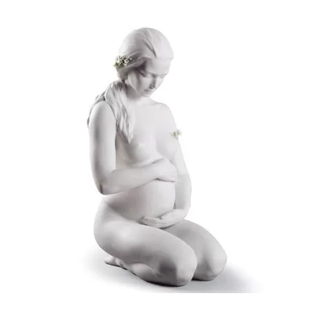 Una nuova vita - Lladrò