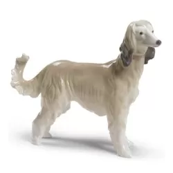 Levriero afgano - Lladrò
