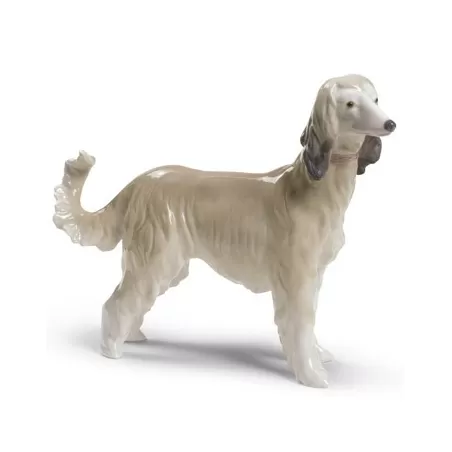 Levriero afgano - Lladrò