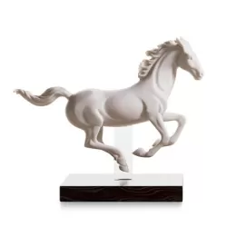 Galoppo i - Lladrò