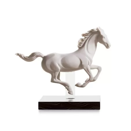 Galoppo i - Lladrò