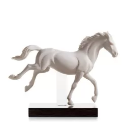 Galoppo ii - Lladrò