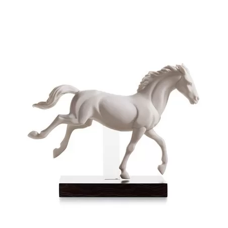 Galoppo ii - Lladrò