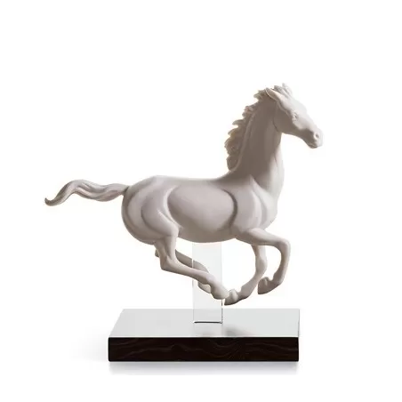 Galoppo iv - Lladrò