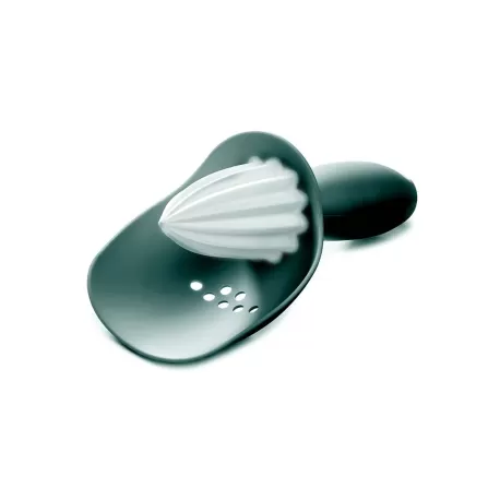 Lemon Reame, Spremilimoni grigio - Joseph Joseph