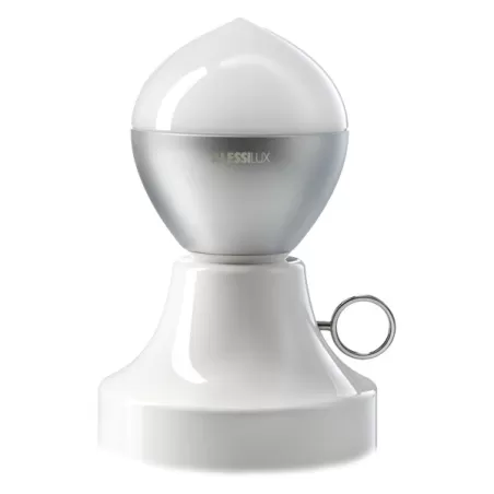 Lumière, Lampada portatile, Silver