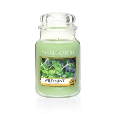 Wild MInt Giara Grande - Yankee Candle