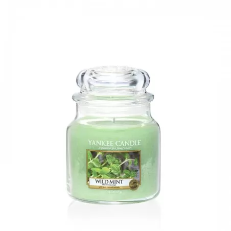 Wild MInt Giara Media - Yankee Candle