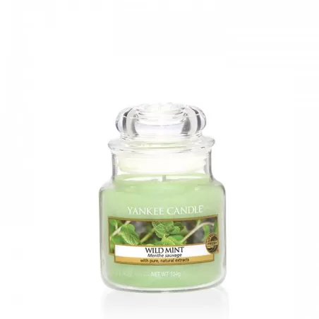 Wild MInt Giara Piccola  - Yankee Candle