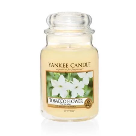 Tobacco Flower Giara Grande - Yankee Candle