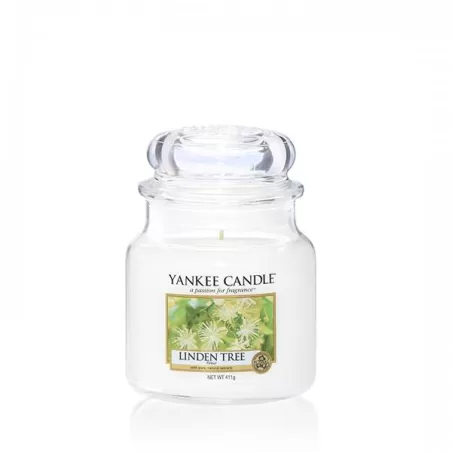 Linden Tree? Giara Media - Yankee Candle