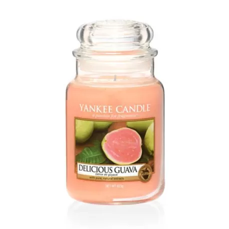 Delicious Guava Giara Grande - Yankee Candle