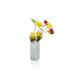 Pinch vase, Vaso.