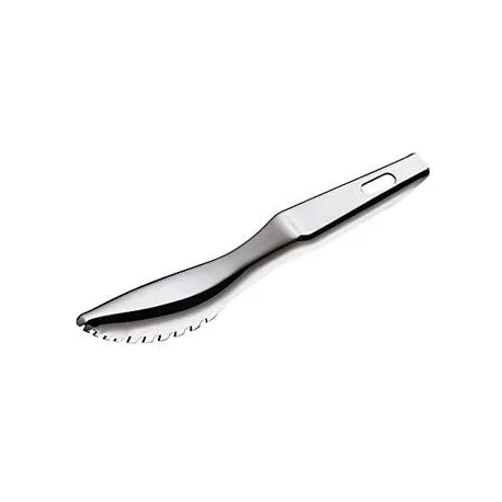 Squamapesce - Kuchenprofi