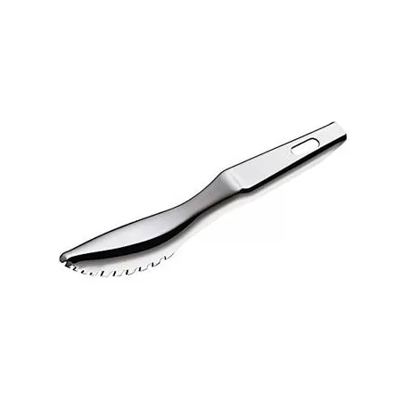 Squamapesce - Kuchenprofi