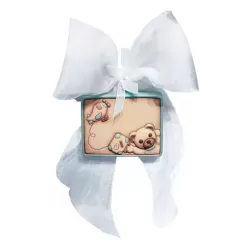 Coccarda teddy lui - Thun