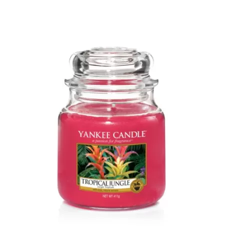Tropical Jungle, Giara Media - Yankee Candle