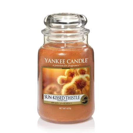 Sun Kissed Thistle, Giara Grande - Yankee Candle