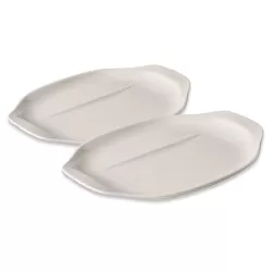 BBQ Passion Piatto barbecue multifunzione, set da 2 pezzi - Villeroy & Boch