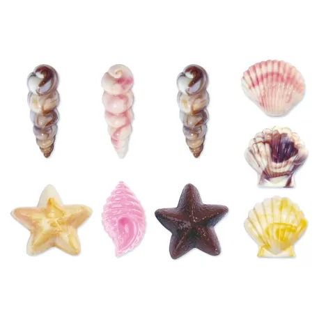 Stampo Cioccolatino Conchiglie