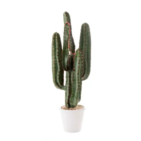 Cactus da terra piccolo Cm. 82 h. - L'oca Nera