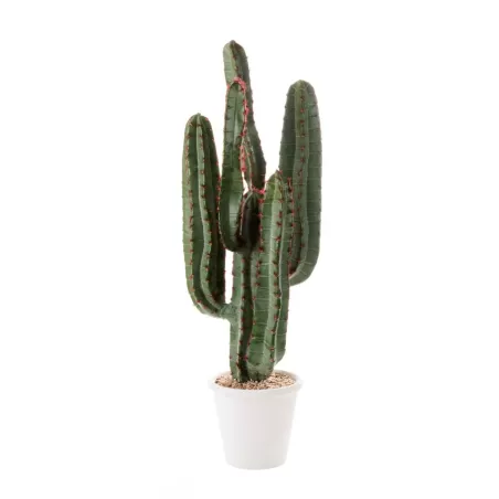 Cactus da terra piccolo Cm. 82 h. - L'oca Nera