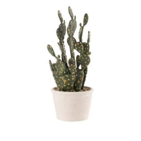 Fico d'india piccolo Cm. 12x32 h. - L'oca Nera