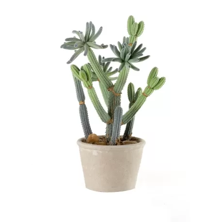 Cactus piccolo Cm. 12x31 h. - L'oca Nera