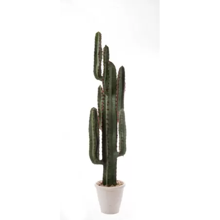 Cactus da terra medio Cm. 124 h. - L'oca Nera