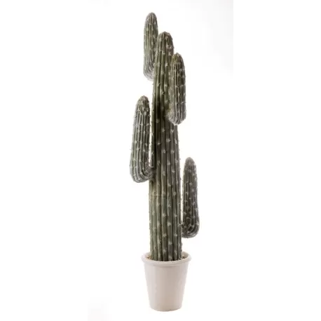 Cactus da terra grande Cm. 142 h. - L'oca Nera