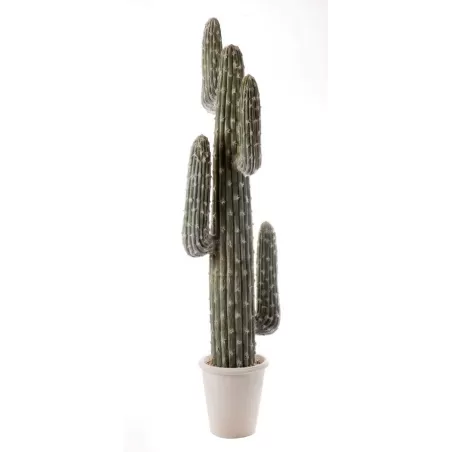 Cactus da terra grande Cm. 142 h. - L'oca Nera