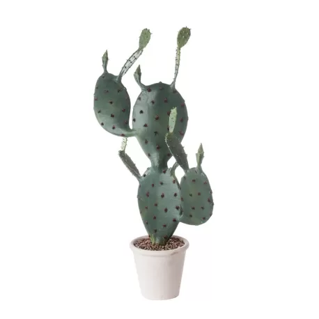 Fico d'India da terra piccolo Cm. 81 h. - L'oca Nera