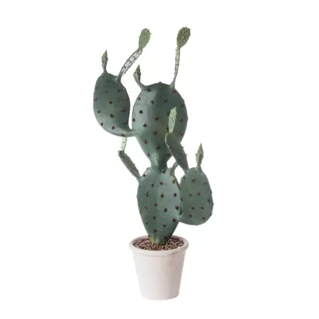 Fico d'India da terra piccolo Cm. 81 h. - L'oca Nera