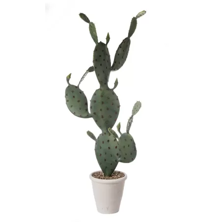 Fico d'India da terra grande Cm. 112 h. - L'oca Nera